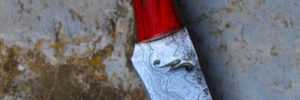 Bowie trout and bird Lame de 10.3 cm forgée en damas vague plaquettes en narra rouge