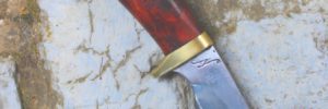 Skinner bowie Lame de 10.8 cm forgée XC 75 avec trempe sélective Plaquettes de loupe de thuya , garde en laiton manche en loupe de narra.